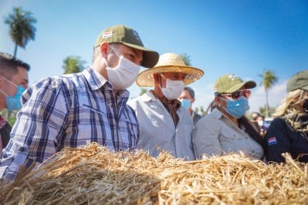 Presidente paraguaio participa da colheita da primeira safra de cânhamo industrial