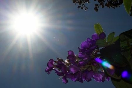 Tempo segue estável durante a quinta-feira em Mato Grosso do Sul