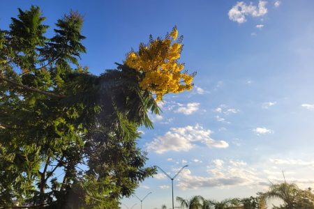 Feriado da Independência do Brasil terá temperaturas elevadas e chuvas isoladas