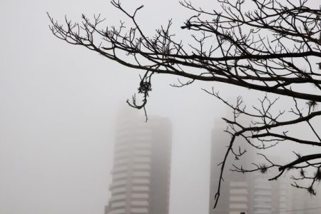 Manhã fria e tarde ensolarada é a previsão para MS neste sábado