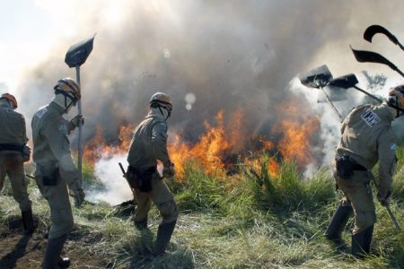 Governo realiza workshop on-line sobre ‘Prevenção e Combate a Incêndios Florestais’