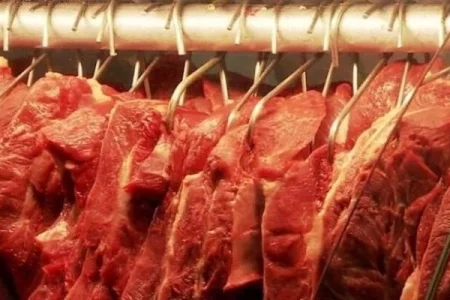 Exportação de carne bovina em maio cresce 11% em volume; receita cai