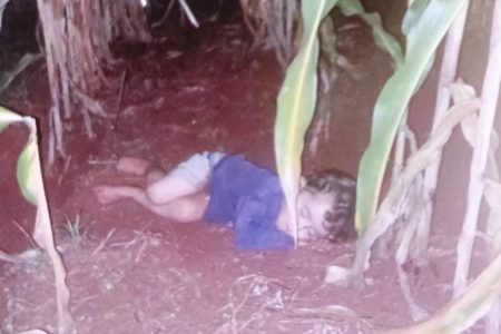 Criança some e é encontrada em meio a milharal no distrito de Nova Itamarati