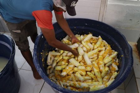 Agricultura familiar pode melhorar merenda escolar indígena