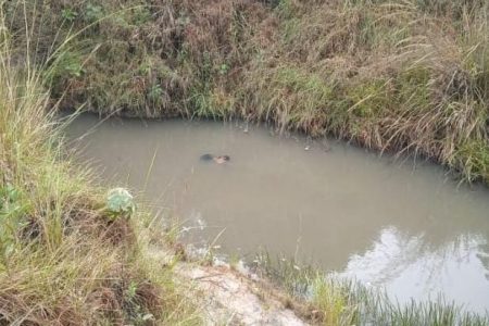 Jovem é encontrado morto em córrego de Sanga Puitã