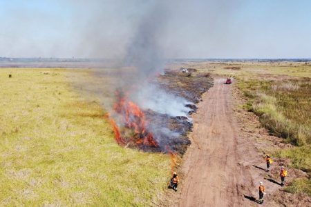 Estado a suspender queima controlada e decreta emergência ambiental até fim do ano