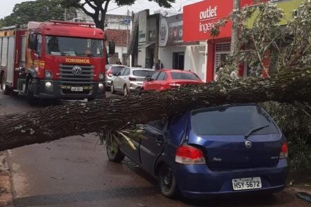 Ventania derruba árvores sobre veículos em ruas de Ponta Porã