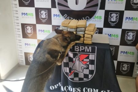 Morador no MT é preso com 23 quilos de maconha que pegou em Coronel Sapucaia