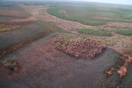 Bombeiros reforçam equipes de combate a incêndios em 4 municípios do Pantanal