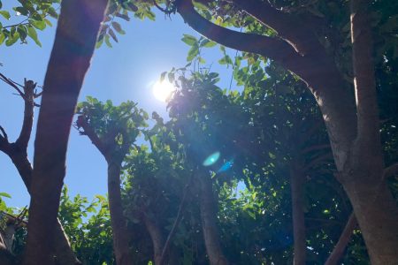 Semana começa com altas temperaturas e possibilidade de chuva no Estado