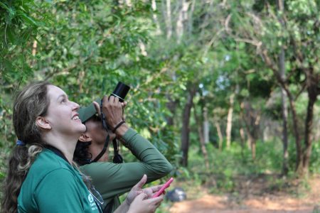 FOTOS: Aquidauana é um dos principais destinos para observação de aves