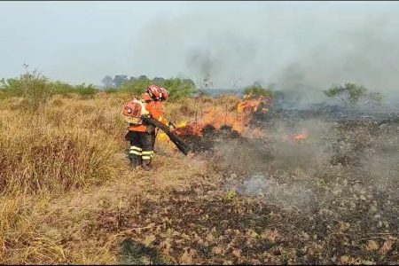Bombeiros de MS atuam em 3 incêndios florestais no Pantanal