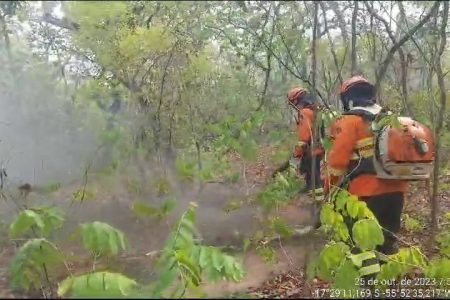 Bombeiros combatem incêndios há 4 dias no Pantanal