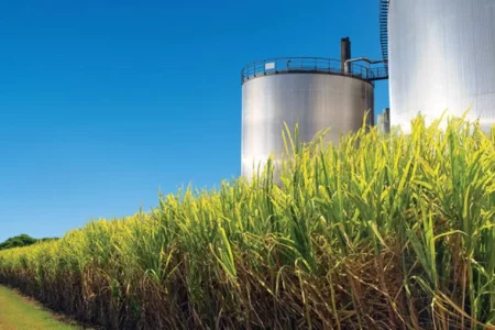 Conferência Internacional da Datagro discute potencial do etanol brasileiro