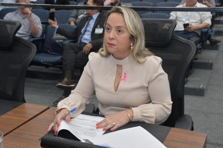 Deputada Lia pede sinalização na BR-376 em favor da segurança ciclística