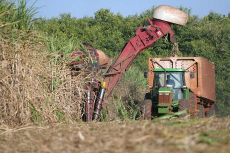 Alckmin e bancada do agro alinham novo marco de biocombustíveis