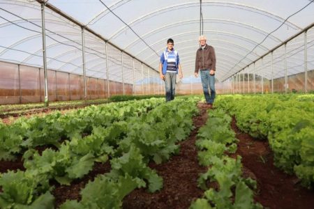 Fundect e Agraer apresentam pesquisas para agricultura familiar