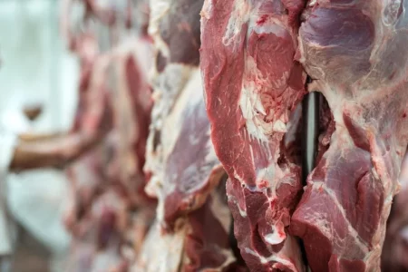 Carne bovina: Exportações registram bom ritmo no acumulado do ano