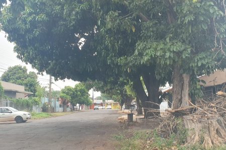 Polícia Civil deflagra operação e cumpre mandados para apreender armas em Campo Grande