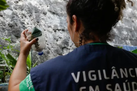 Saúde abre consulta pública sobre inclusão de vacina da dengue no SUS