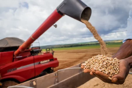 Conab: Produção de grãos deve atingir 312 milhões de toneladas