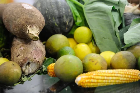 Agrotóxicos: 25% dos alimentos de origem vegetal no país têm resíduos