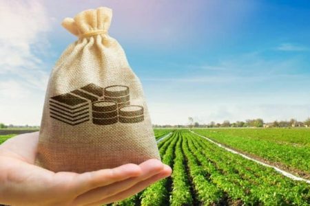 Ministro da Agricultura negocia mais R$ 500 milhões para seguro rural