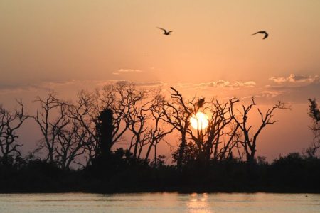 Sol retorna ao MS, mas probabilidade de chuvas não deixa o Estado