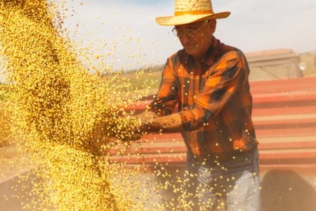 Soja: Datagro Grãos diz que produtor terá lucro inferior a 2021 e 2022