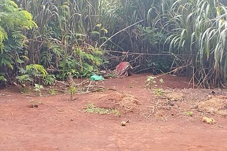 FOTOS: Indígena de 16 anos é encontrada morta com sinais de facadas