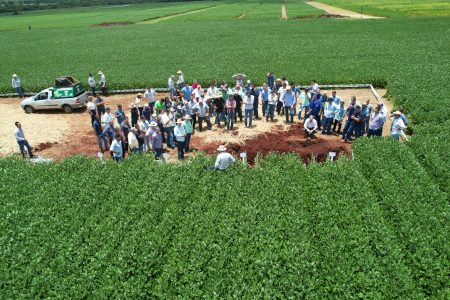 Fundação MS apresenta trabalhos de pesquisa focados nos desafios do agricultor em Ponta Porã