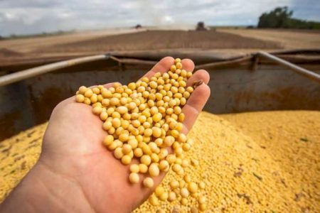 Preço da saca de soja sobe 26% em Mato Grosso do Sul
