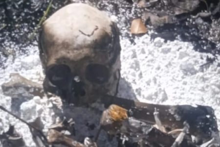 Esqueleto humano é encontrado durante limpeza de  terreno no Paraguai