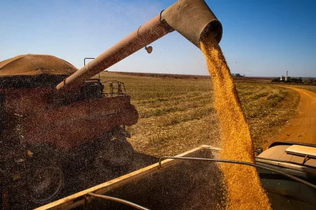 Brasil colherá 297,5 milhões de toneladas de grãos, estima a Conab