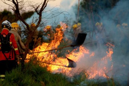 Treinamento de combate ao fogo qualifica novos soldados dos Bombeiros em MS