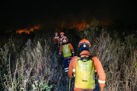 Estado declara situação de emergência em cidades afetadas por incêndios florestais