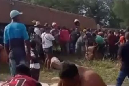 Delegado que investiga furto de porcos após carreta tombar já está ouvindo testemunhas