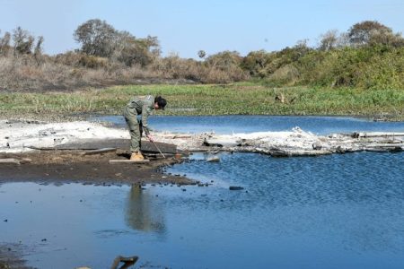 Equipe do Governo de MS no Pantanal monitora áreas queimadas em busca de animais feridos
