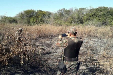 MS já aplicou R$ 54 milhões em multas por incêndios no Pantanal