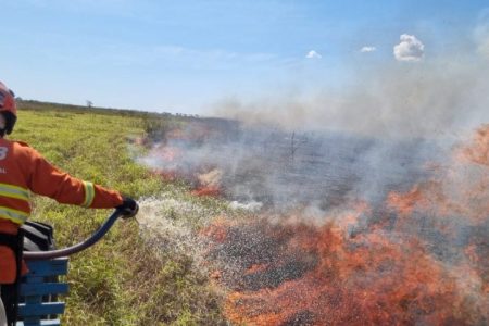 Bases avançadas no Pantanal atuam de forma eficaz e evitam focos de incêndios