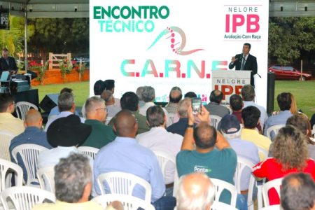 Pecuária sul-mato-grossense aumentar produtividade e qualidade da carne na genética