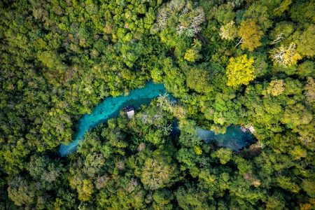 Nascente Azul, um mergulho na natureza de Bonito