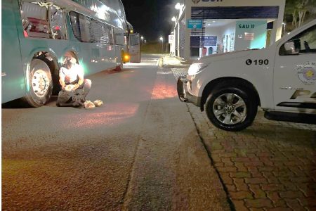 Mulher que saiu de Campo Grande com droga é presa em São Paulo