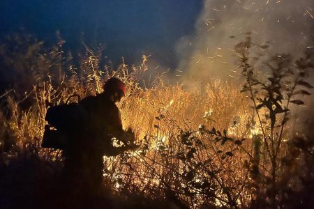 Combate ao fogo no Pantanal de Mato Grosso do Sul segue também à noite