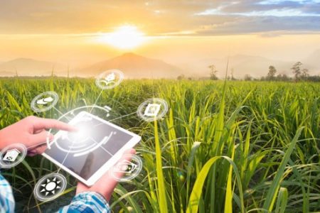 Palestras na Ponta Agrotec 2024 unem Inovação e Tecnologia no Agronegócio