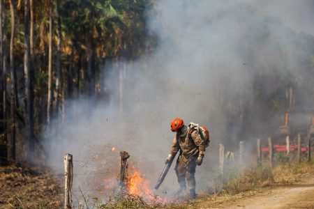 Bombeiros de MS lutam para conter grandes chamas na região do Nabileque
