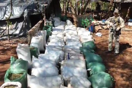 Senad destrói acampamentos de narcotraficantes na fronteira
