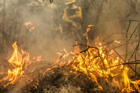 Governo destina R$ 137,6 milhões para combate a queimadas no Pantanal
