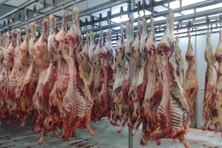 Egito abre mercado para carne bovina com osso do Brasil
