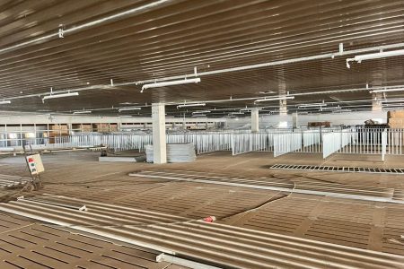 Suinocultura de MS terá a 1ª central de sêmen a partir de novembro